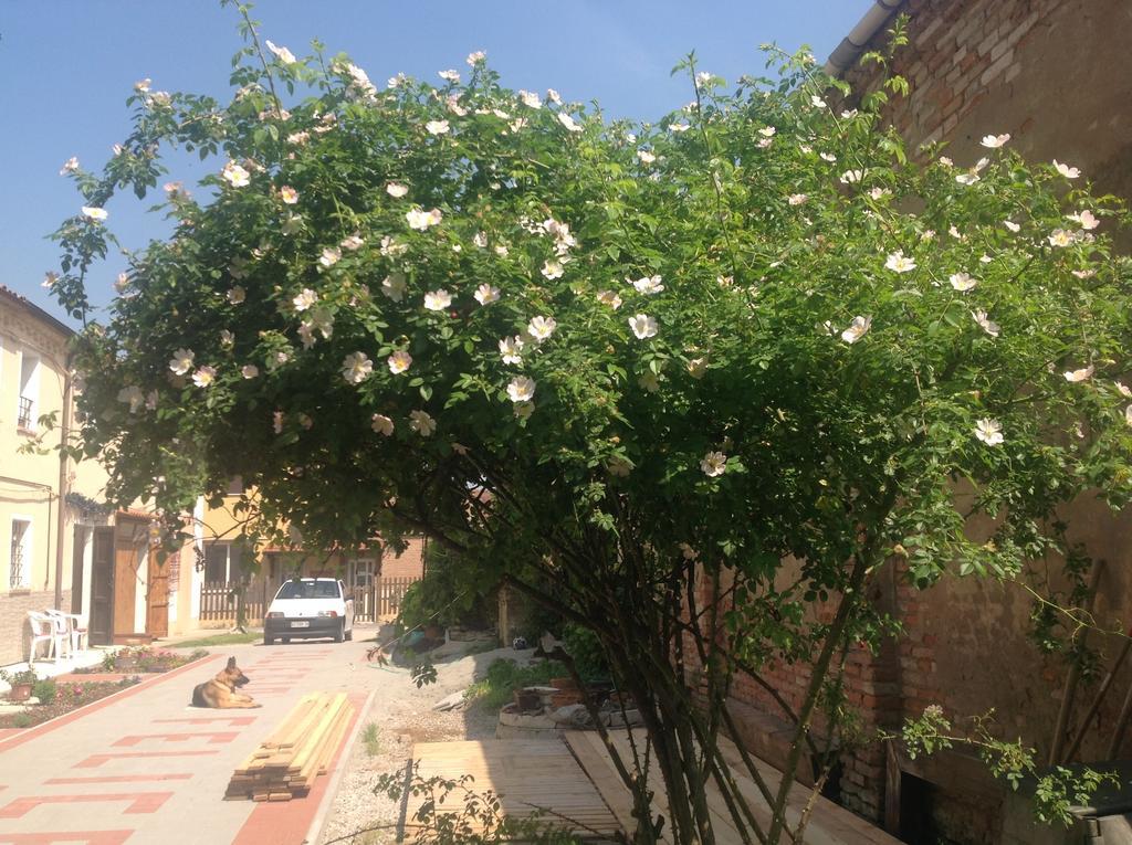 Bed and breakfast Ciliegio Felice Molinella